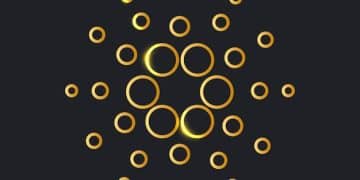 Cardano's Vasil Hard Fork: Will It Pump ADA's Price in the US? - Cover Image
