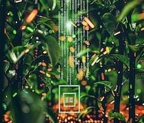 Yield Farming on Solana: Maximize Returns with Altcoin Pools (US 2025) - Cover Image